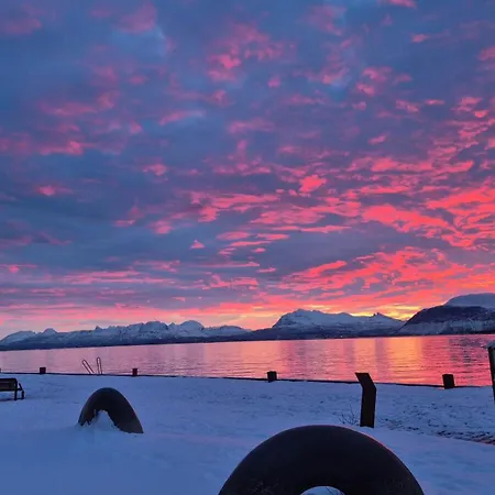 Hotell Arcticus Harstad